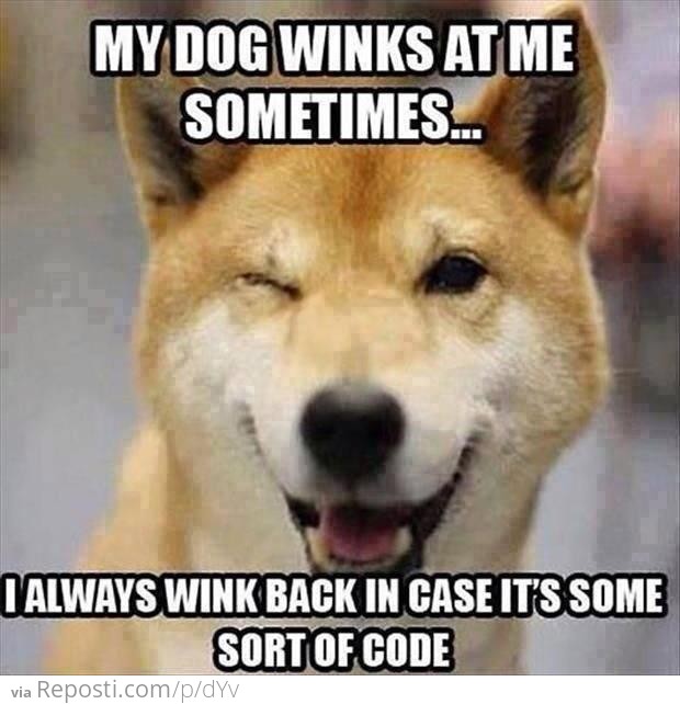 Wink