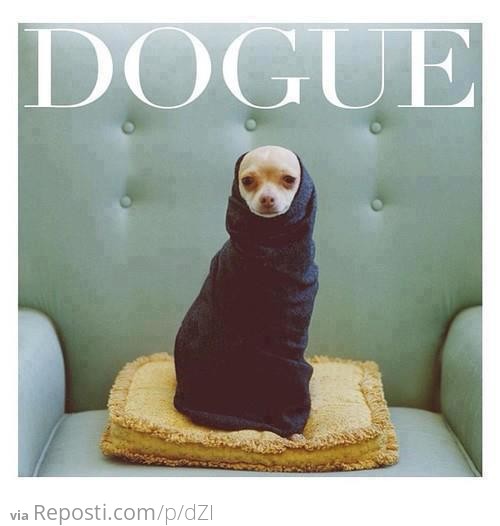 Dogue