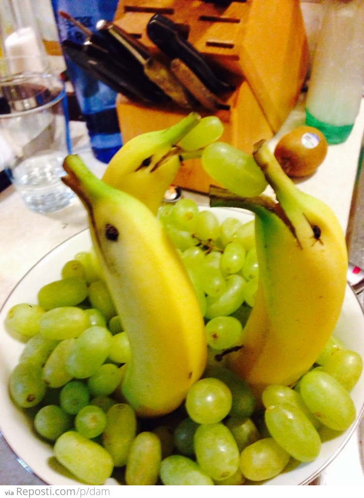 Banana Dolphins in a Sea of Grapes