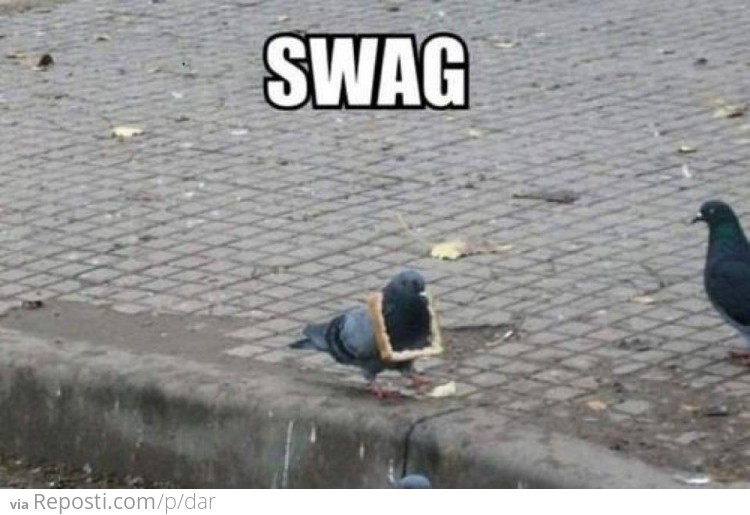 Pigeon's Got Game