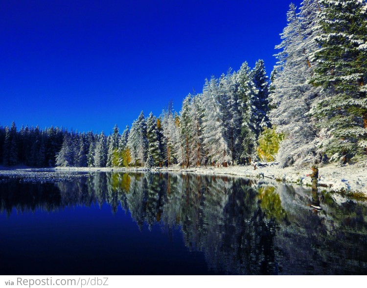 Fall Snow In Colorado