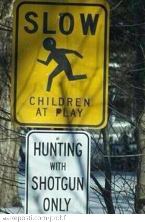 Shotguns and Children