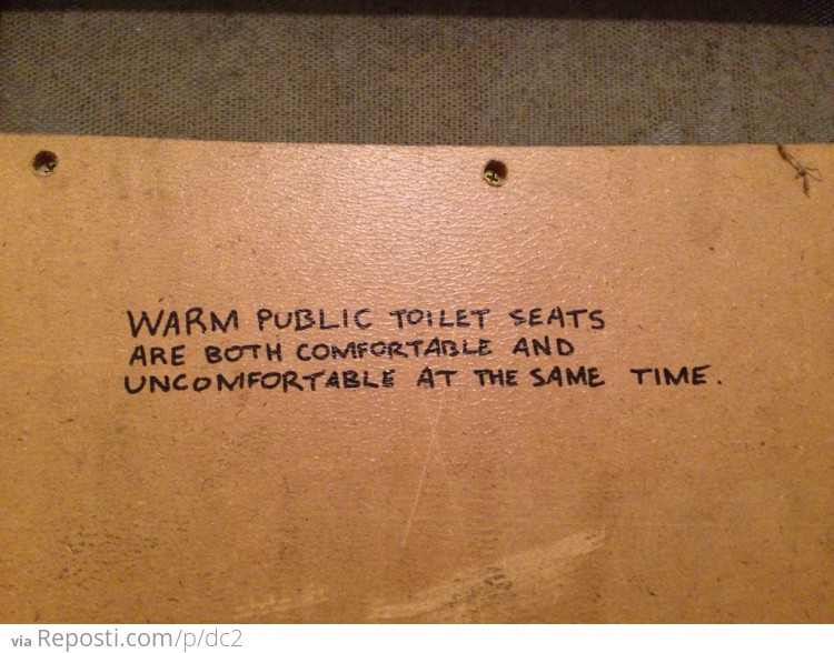 Warm Public Toilet Seats