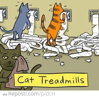 Cat Treadmills