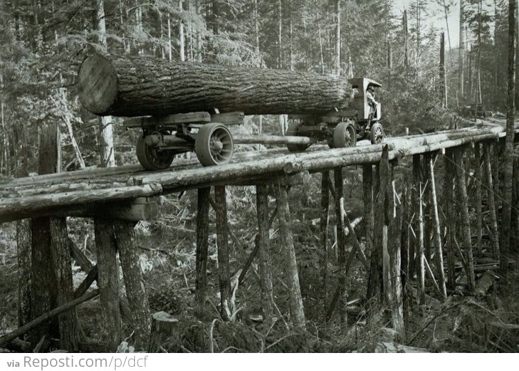 Old Logging Road In Washington State