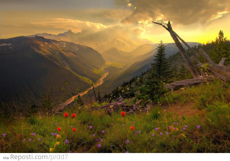 Mount Rainier, Washington