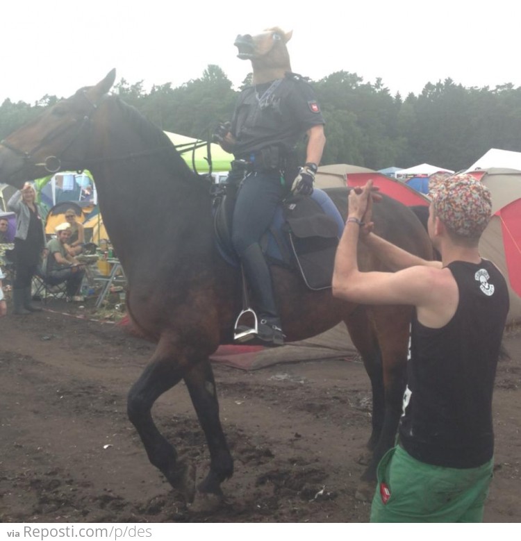 German Mounted Police