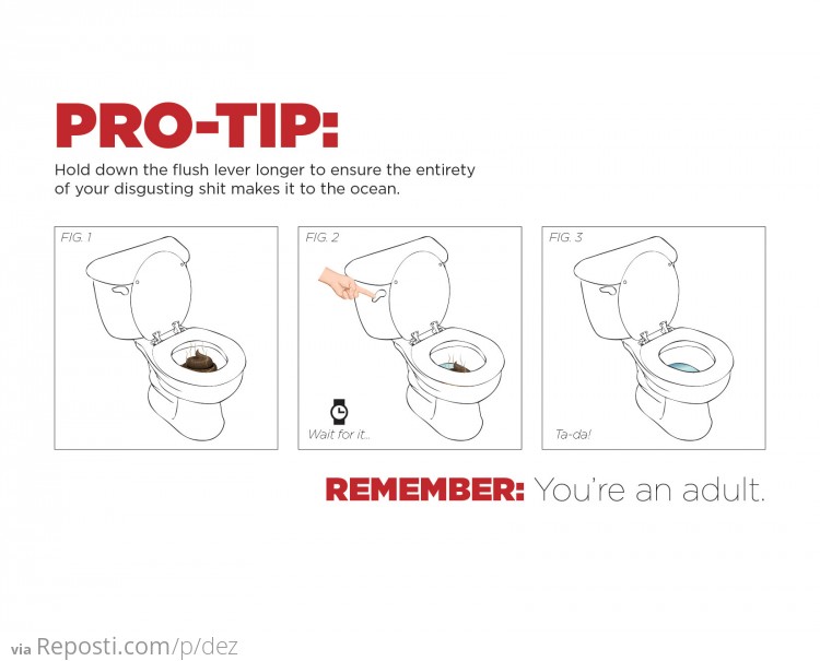 Toilets 101