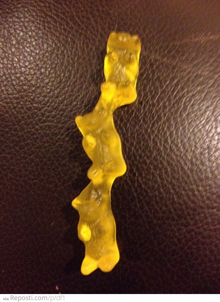 Gummy Bear Centipede