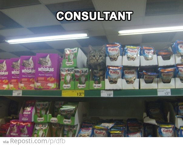 Consultant