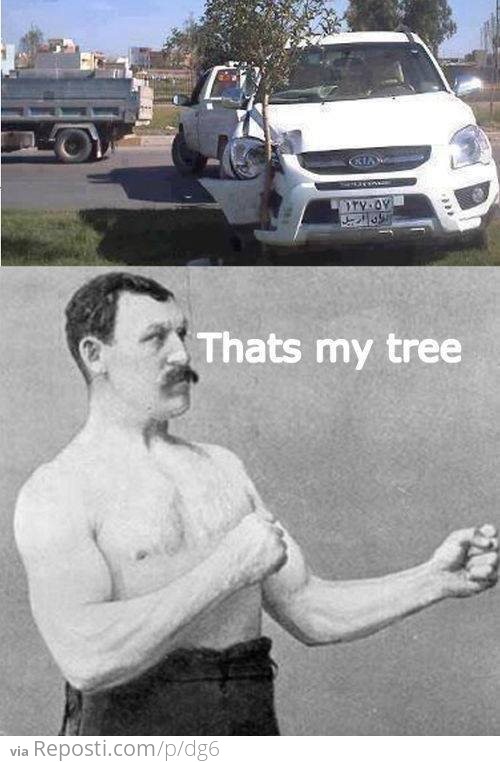 Manly Tree