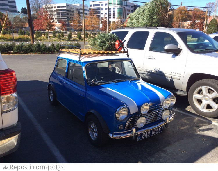 Mini Christmas Tree, Mini Car