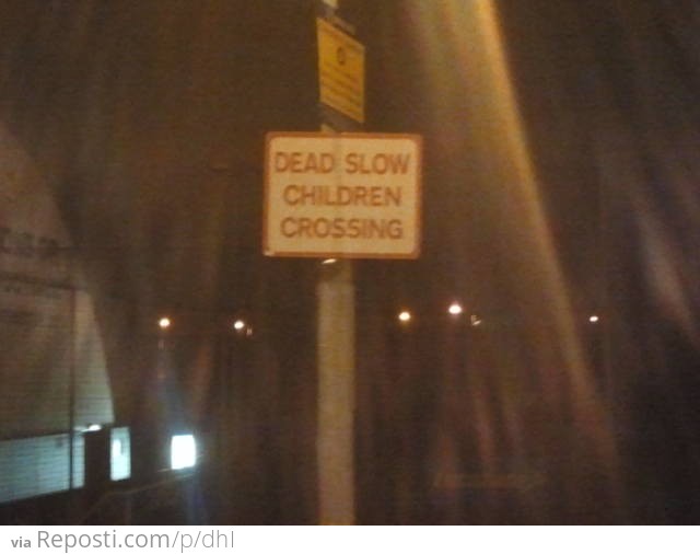 Dead Slow Children Crossing