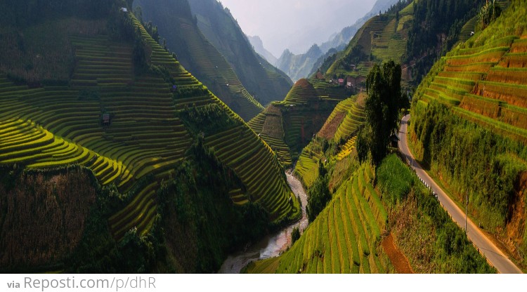 Hillside Rice Field Terraces of Thailand