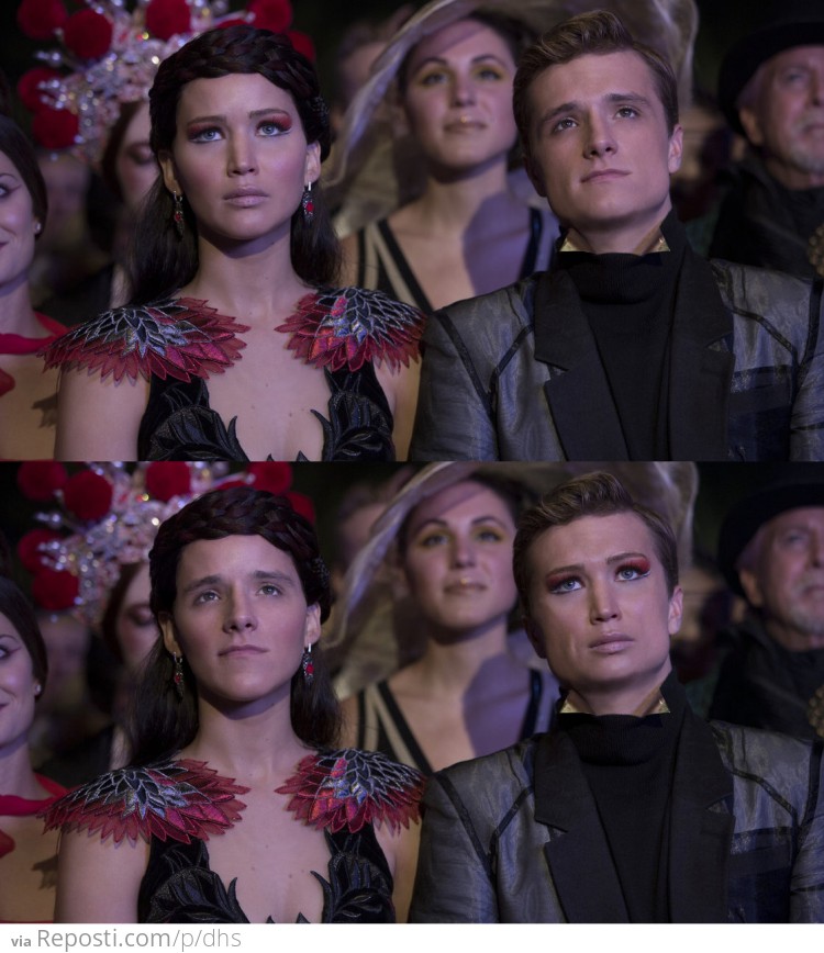 Hunger Games Face Swap