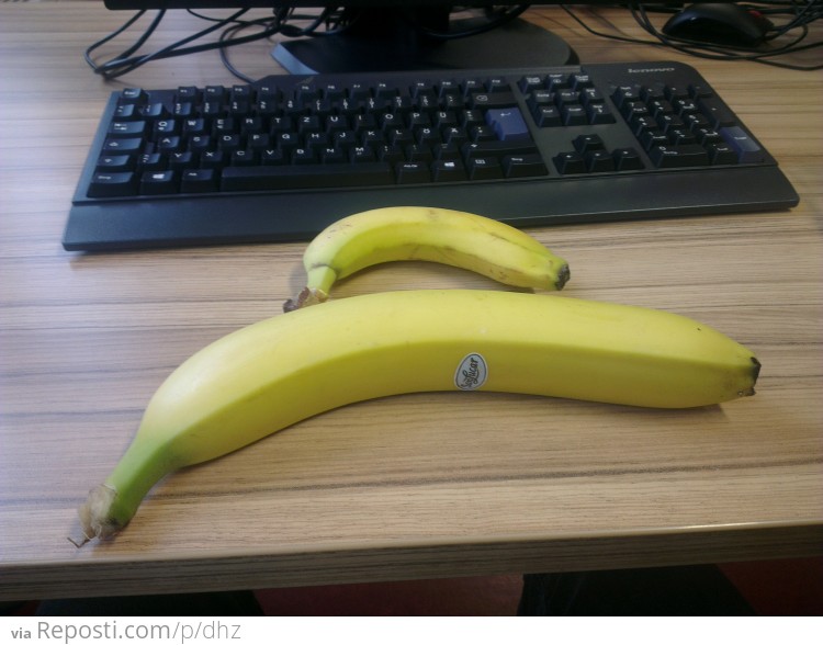 Colossal Banana