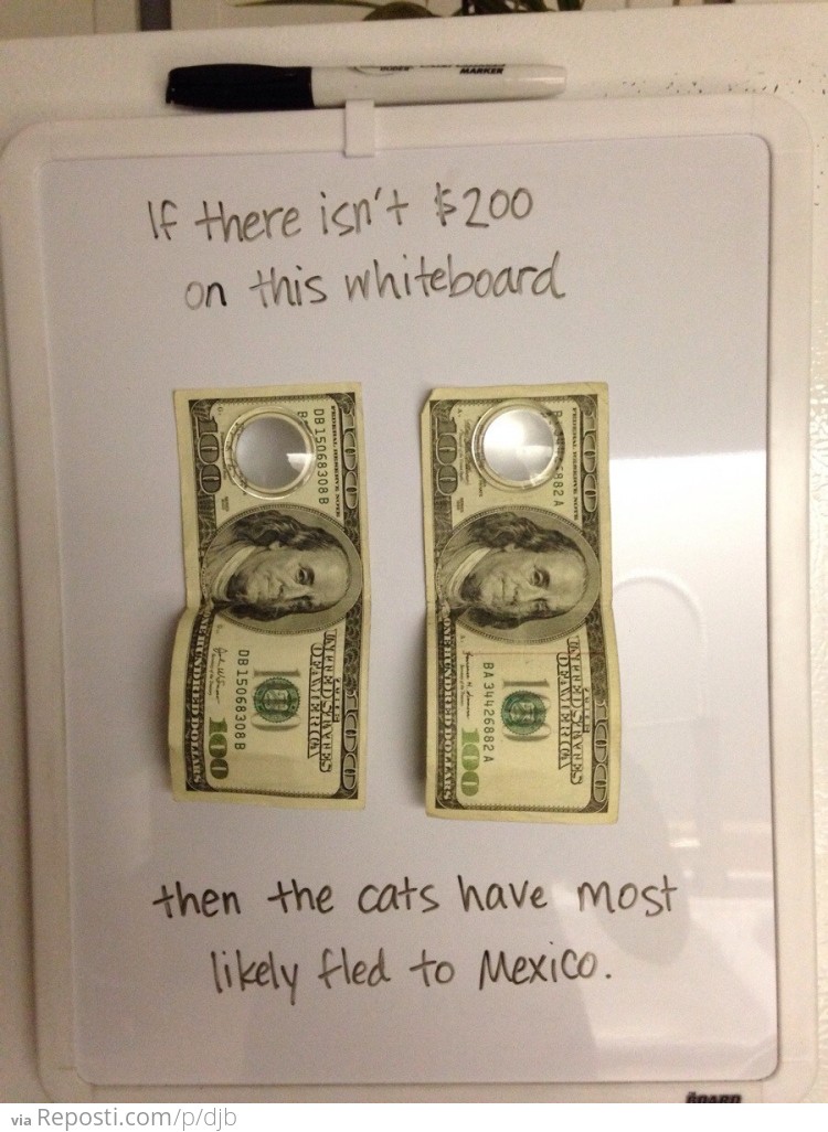 Money On The Fridge