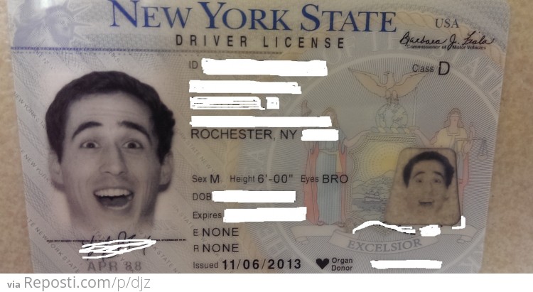 New York DMV Has Stopped Caring