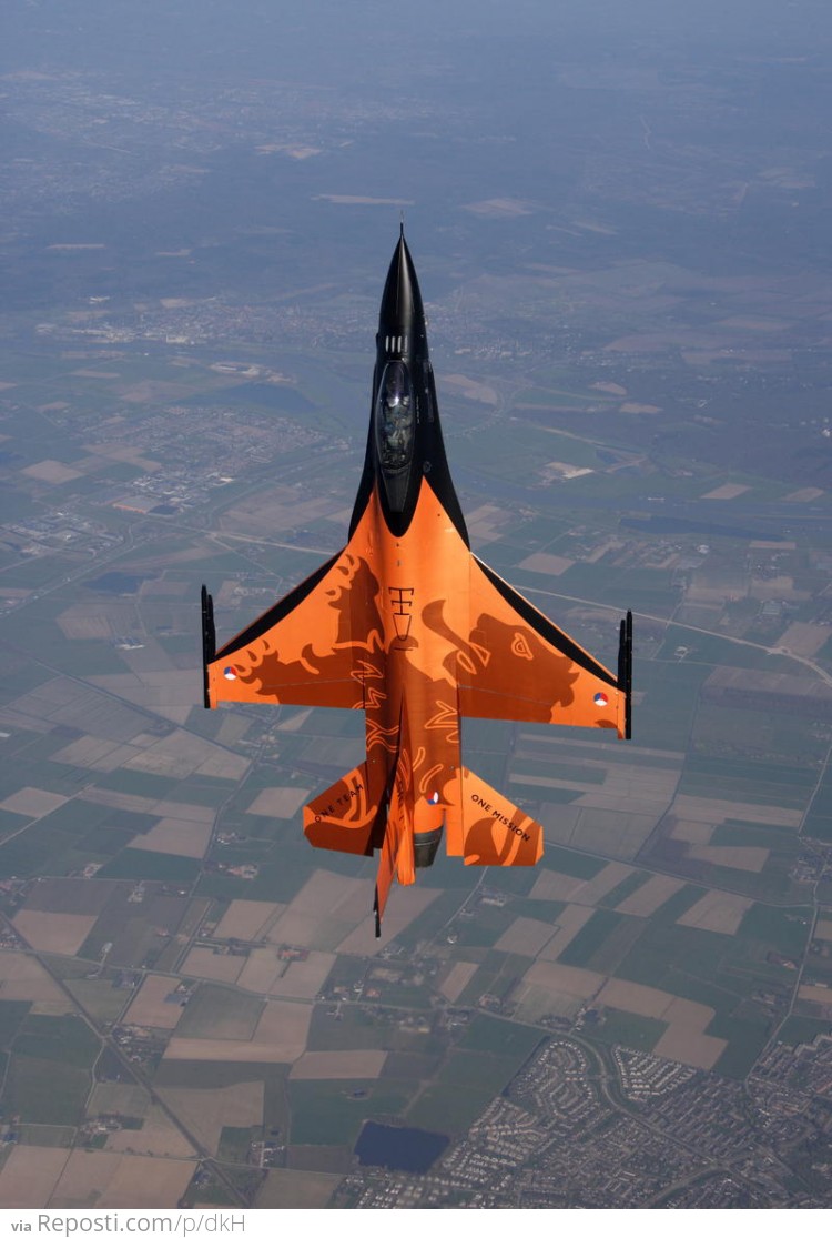 Dutch Fighter