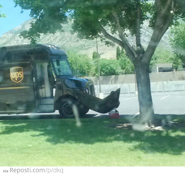 UPS Man on Lunch Break