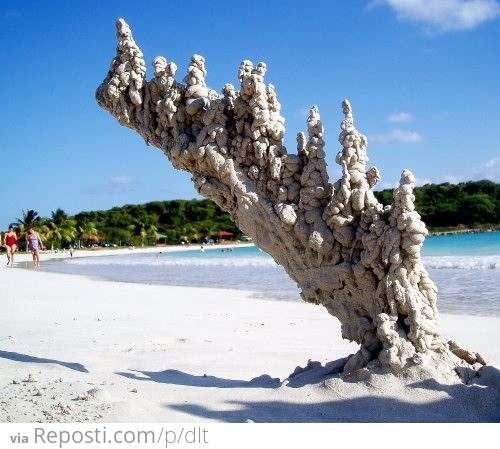 When Lightning Strikes Sand