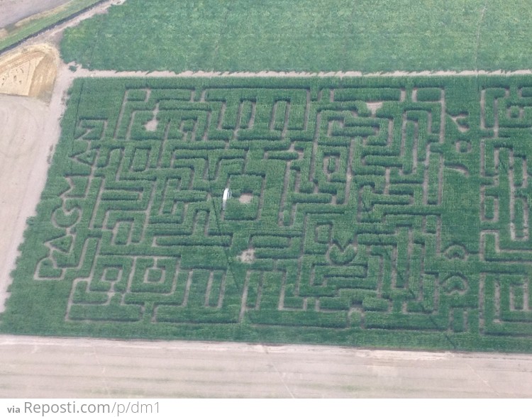 Pac Man Maze