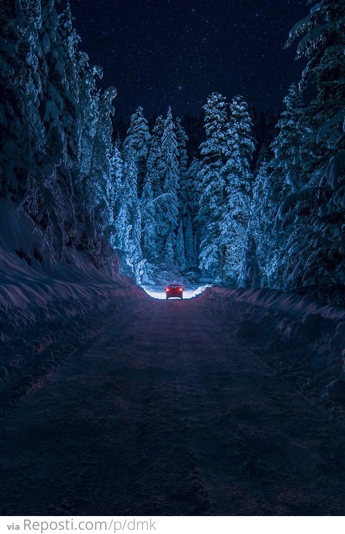 Snowy Night In Bulgaria