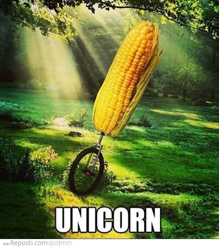 Unicorn