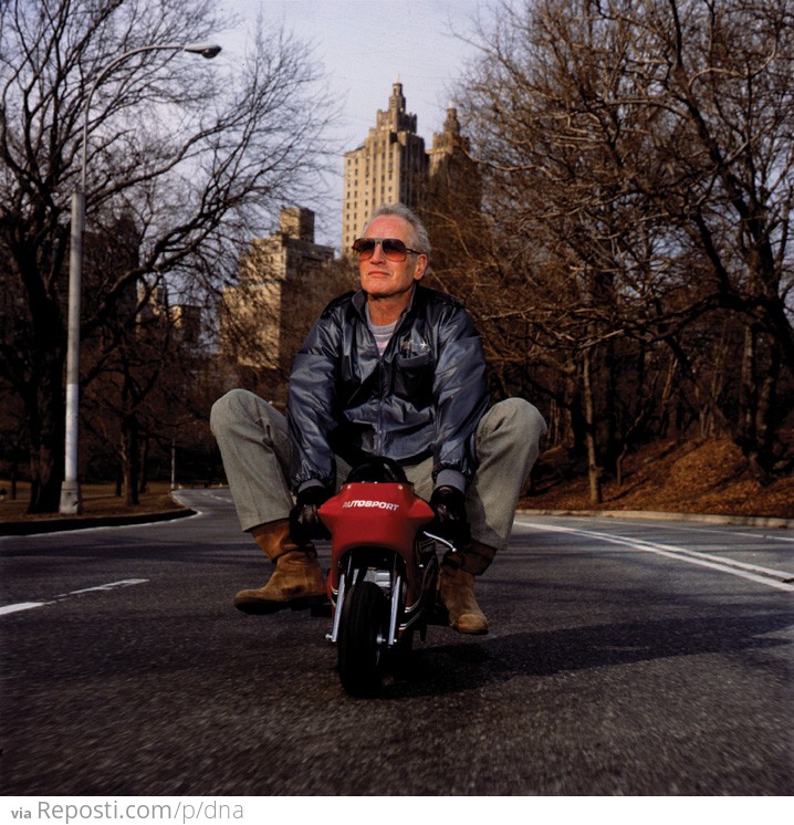 Paul Newman in NYC