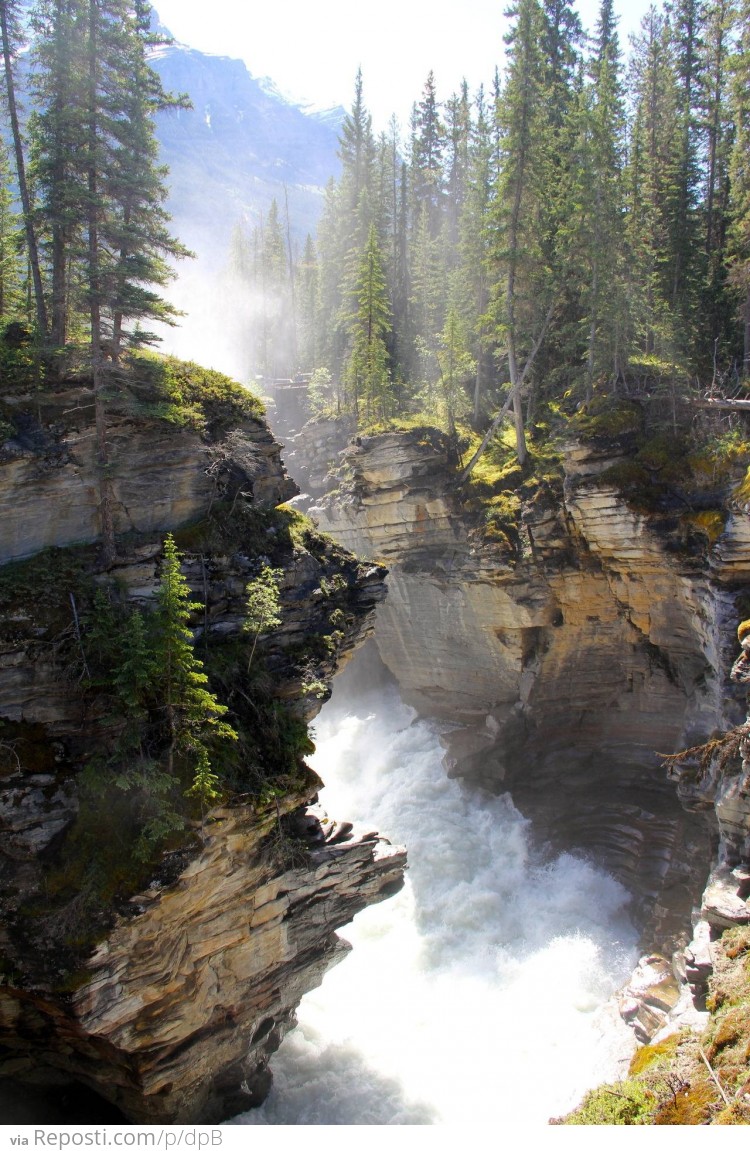 Jasper National Park