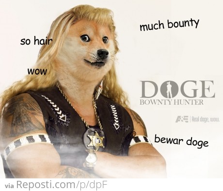 Doge the Bownty Hunter