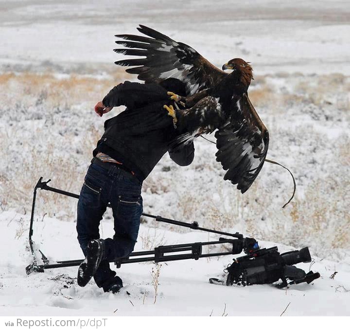 Eagle Attack