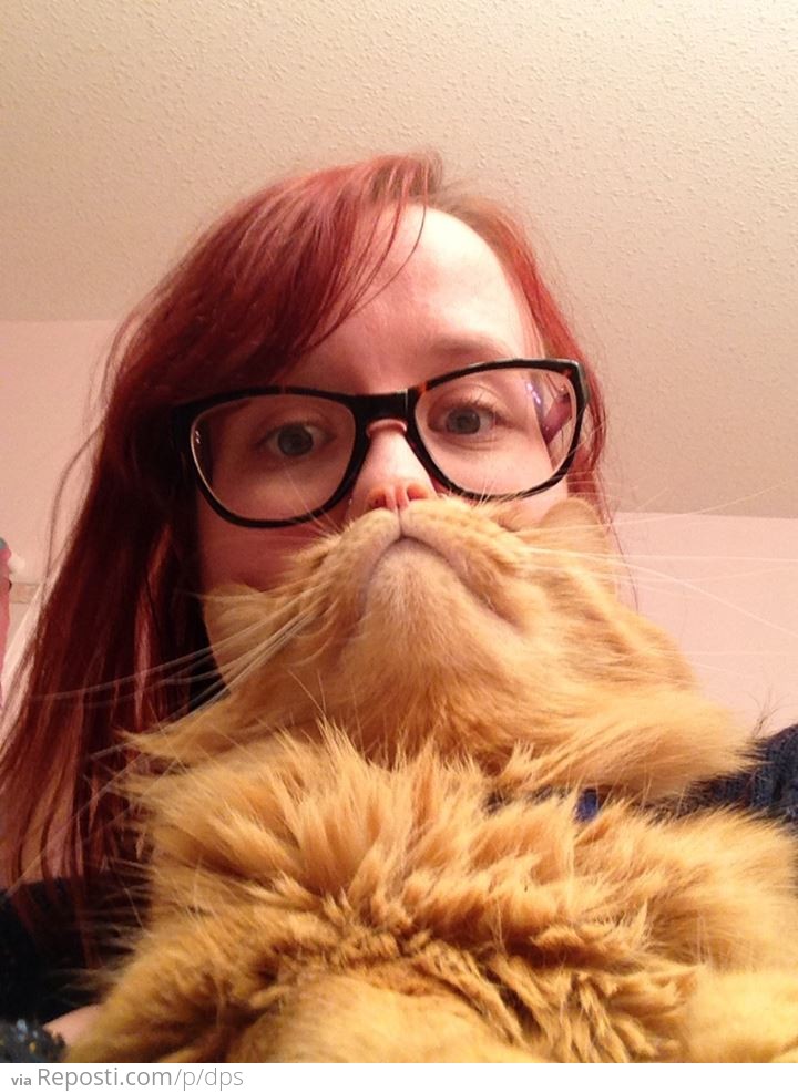 Cat Beard