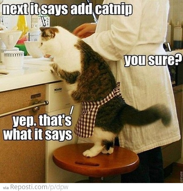 Baking For Cat