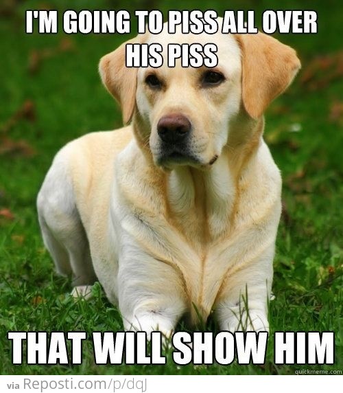 Dog Logic