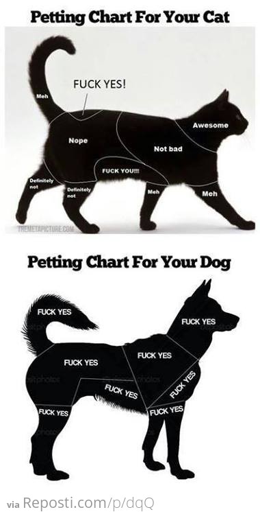 Petting Chart