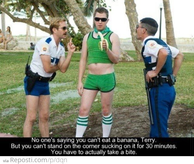 Reno 911