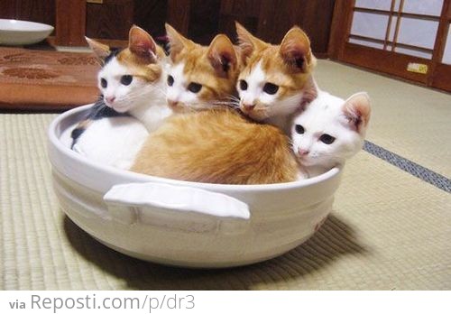 If We All Fits, We All Sits