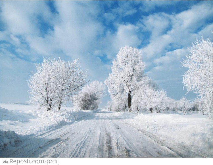 Winter in Poland