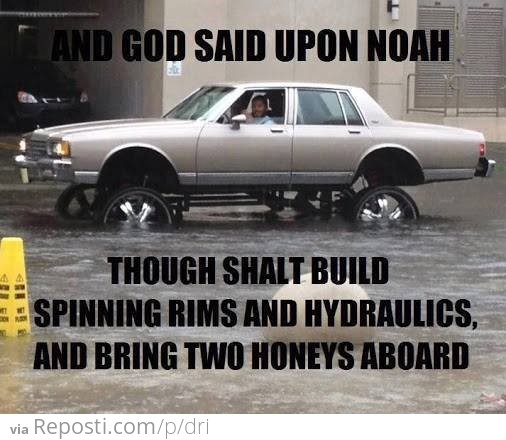 And God Said Upon Noah