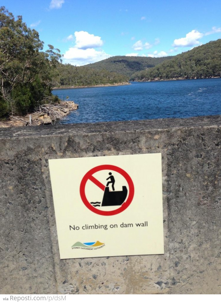 So Many Dam Rules...