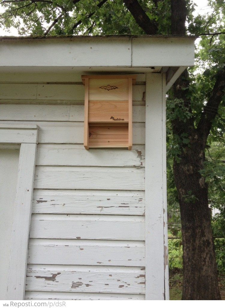 Bat House