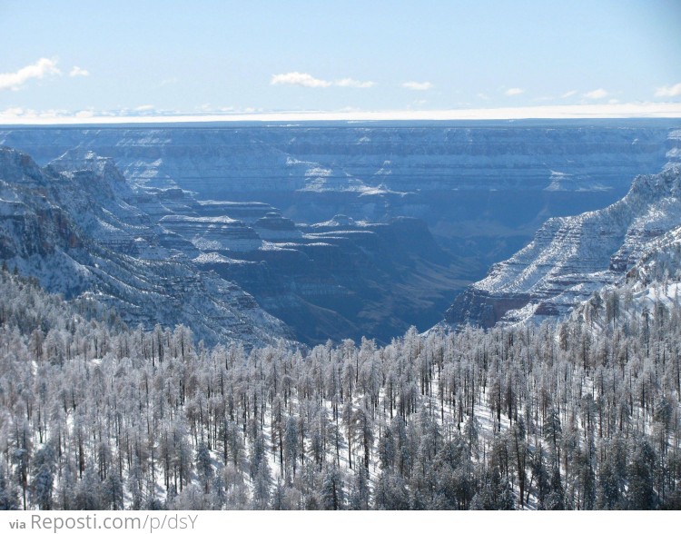 Grand Canyon After A Snowstorm