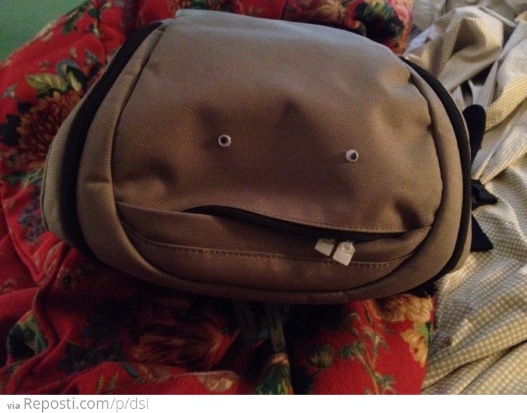 Stupid Backpack