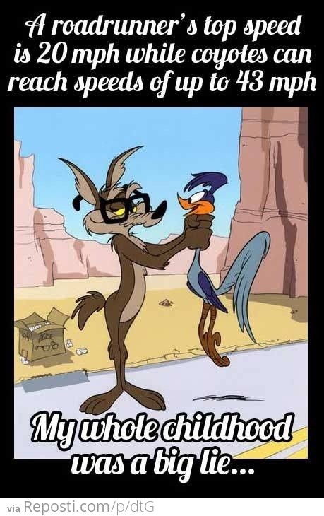 Roadrunner's Top Speed