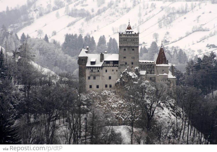 Dracula's Castle