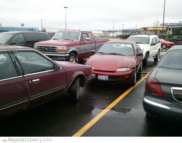 Park Like An Idiot