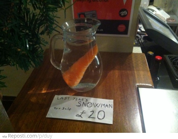 Last Year's Snowman - For Sale