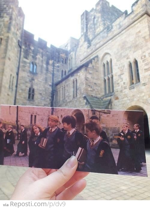 Hogwarts