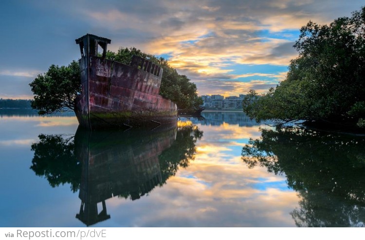 Homebush Bay, Sydney